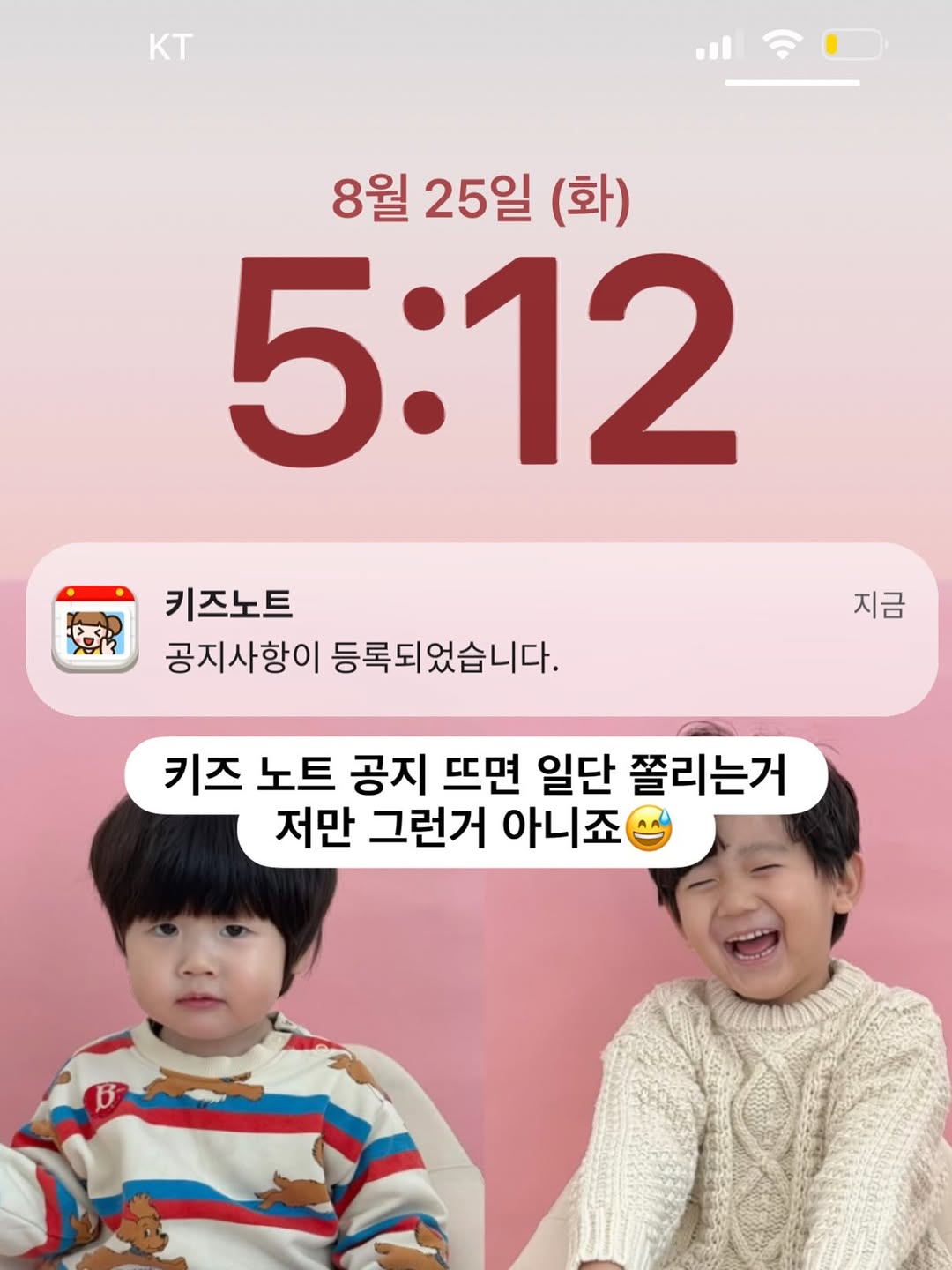 착즙주스, 동결건조 과일칩, 요거트큐브