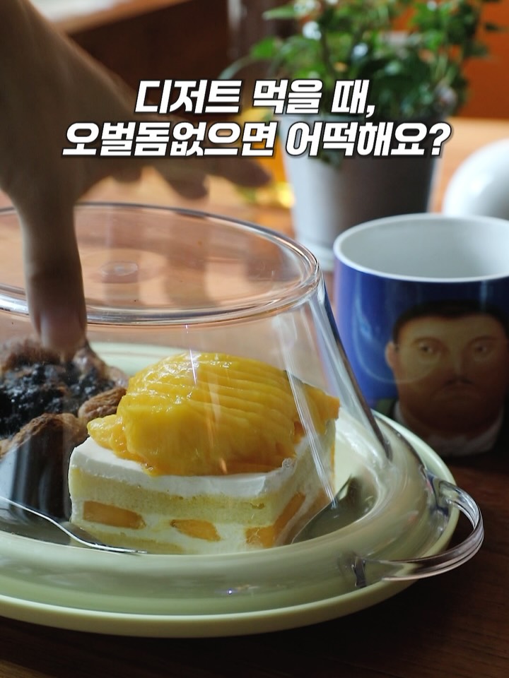 푸들 오벌플레이트