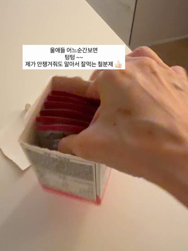 철분제
