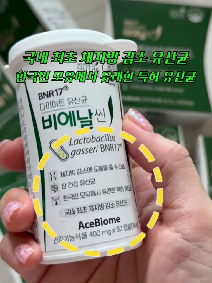 BNR17 유산균