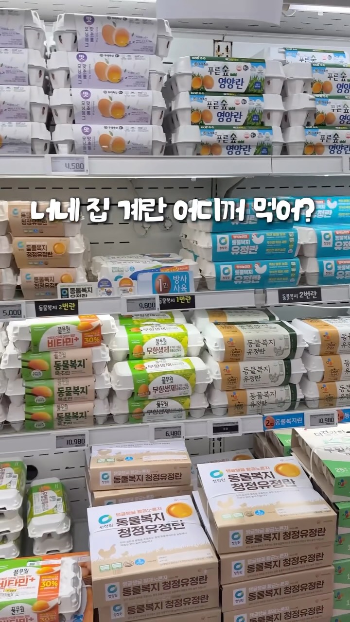 새벽햇살계란