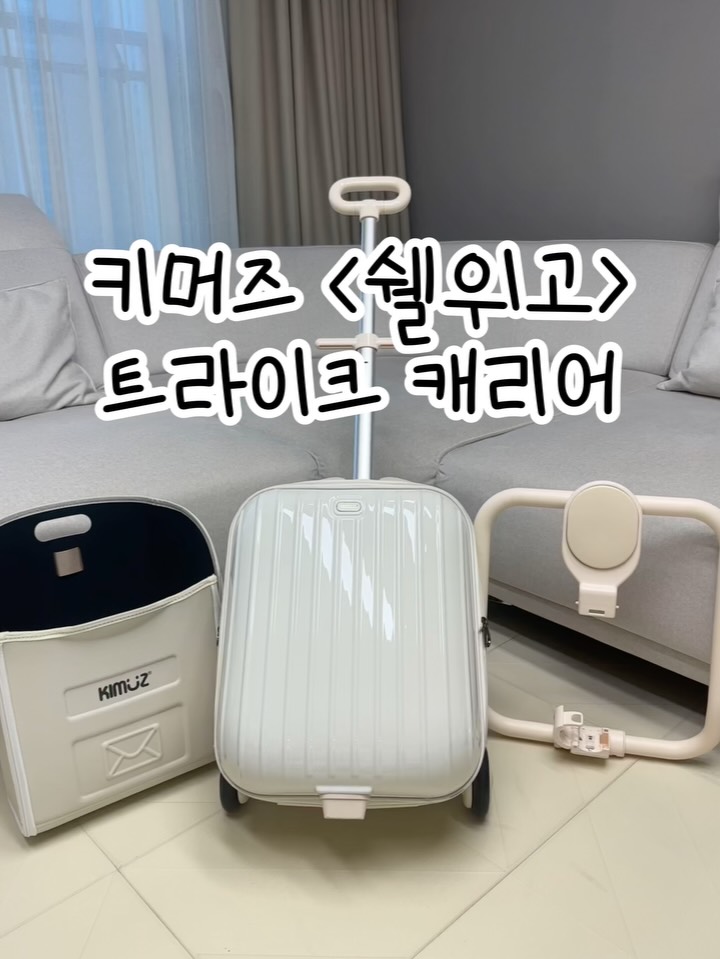 트라이크 캐리어