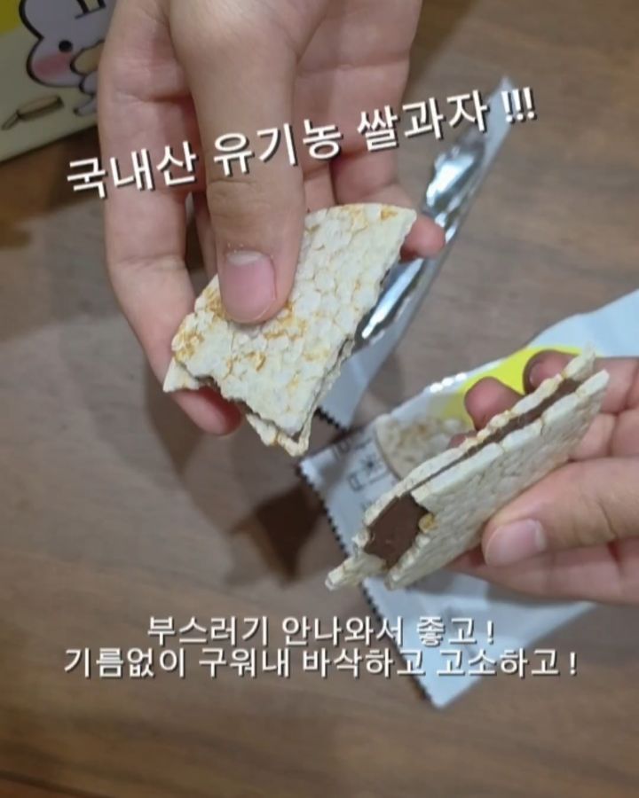 달칩 초코샌드