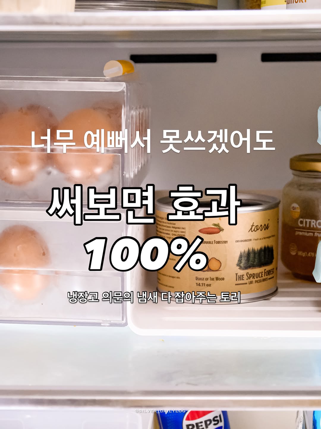토리 노르웨이숲 탈취제