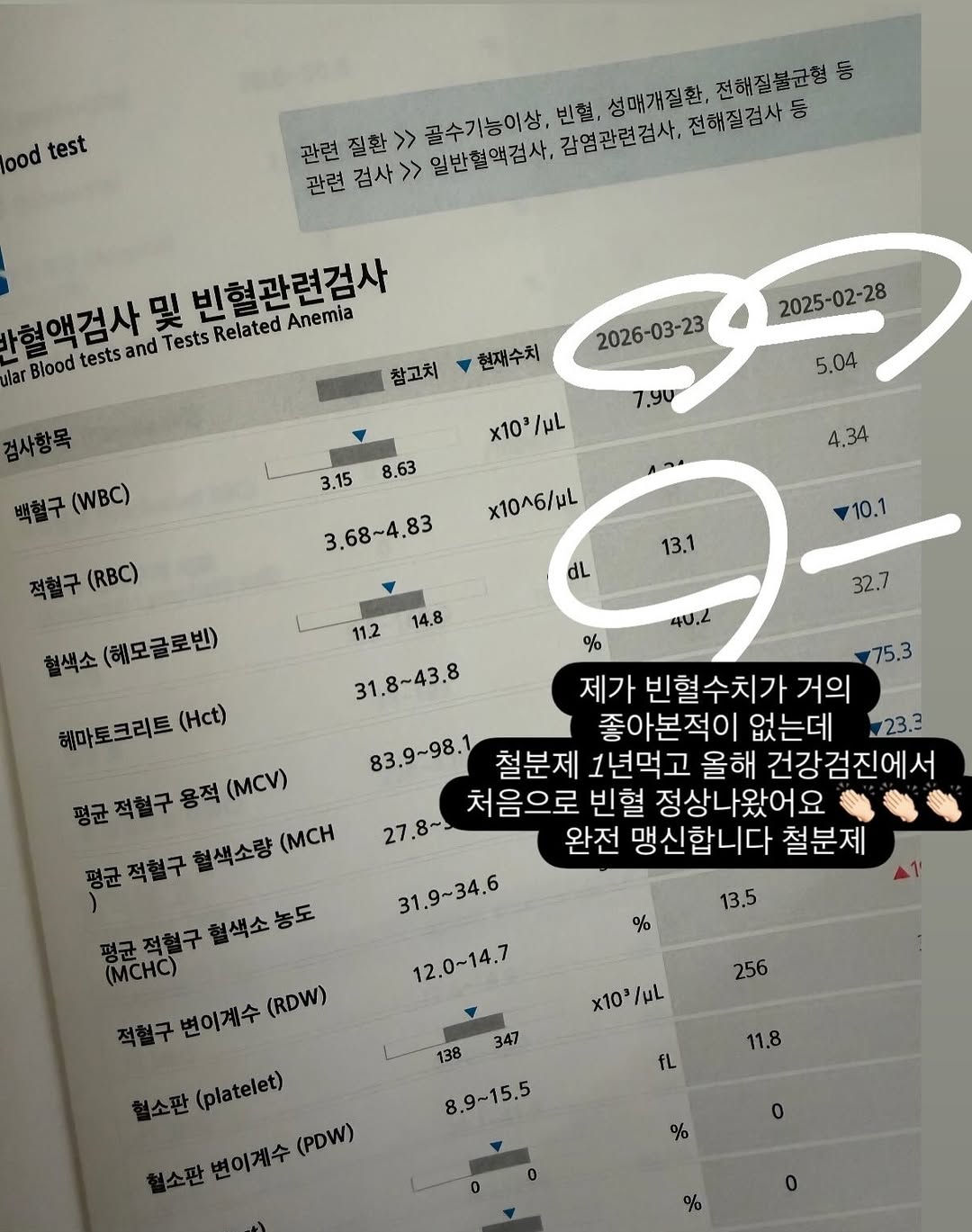 철분제