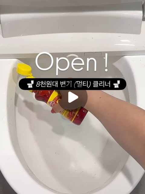 변기 클리너