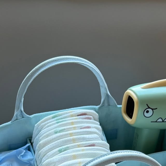 아코앤드 오거나이저