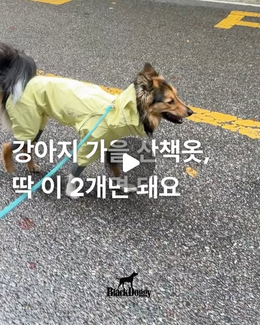블랙도기 가을 특별전 (올인원 우비, 쿨링 올인원 안티버그)