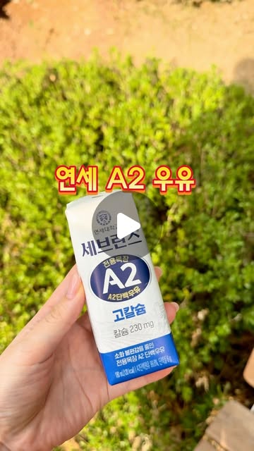 A2 고칼슘 우유
