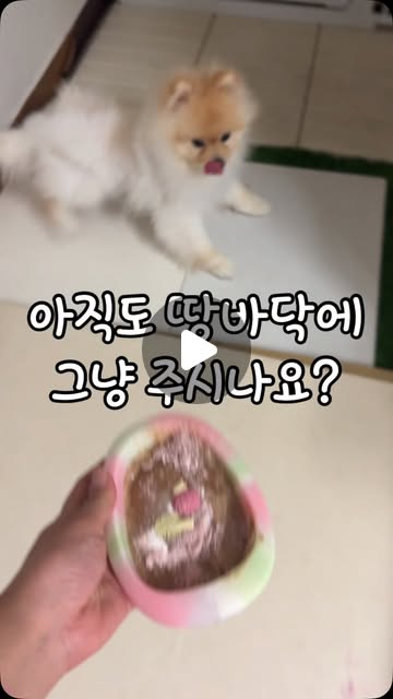 식탁