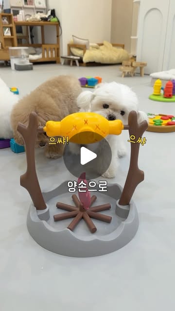 노즈워크