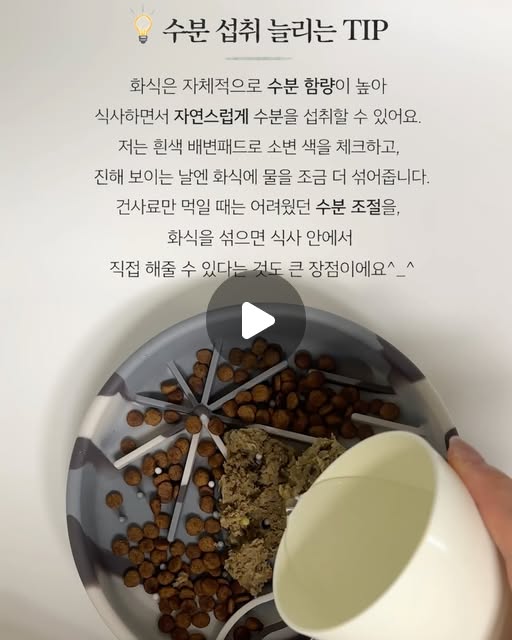 화식