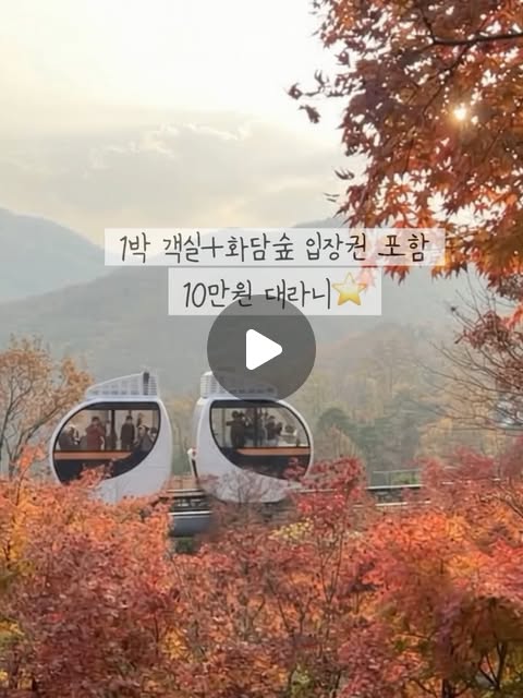 곤지암 리조트 숙박권