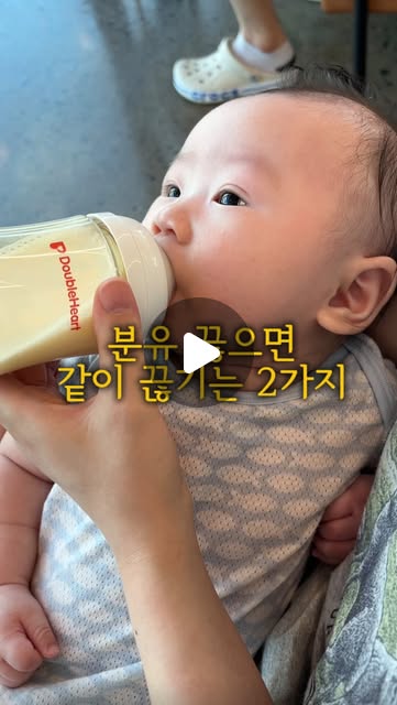 비피더스 유산균