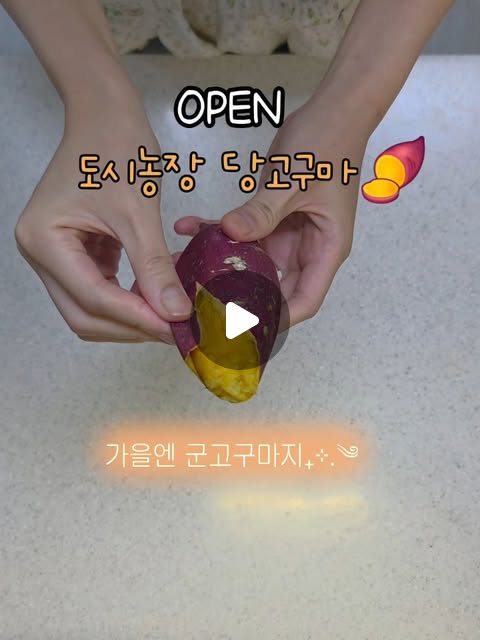 당구마