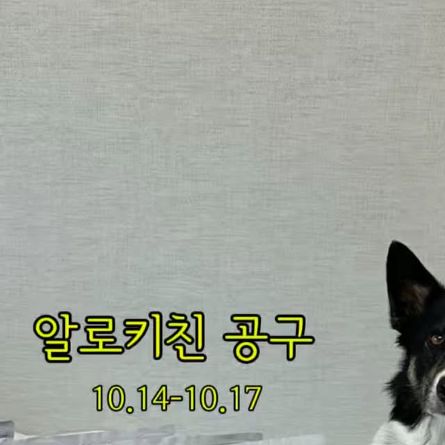 알로키친 전상품