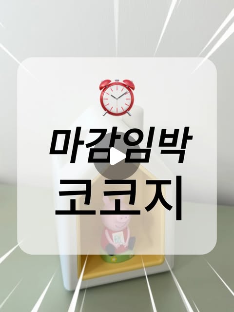 페파피그 세트