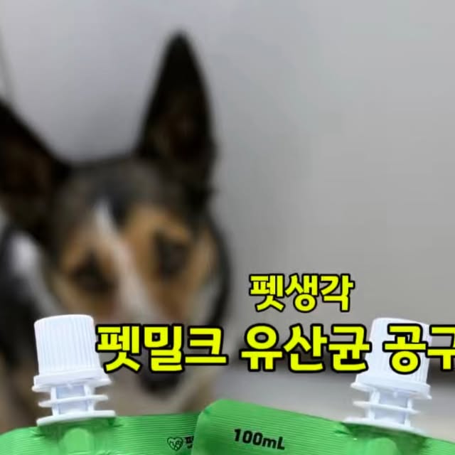 산양유 & 유산균