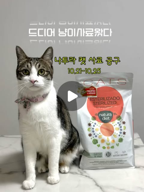 나투라다이어트 캣