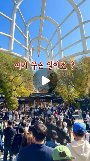 섬 입장권