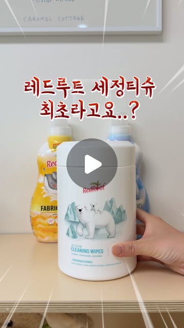 세정티슈